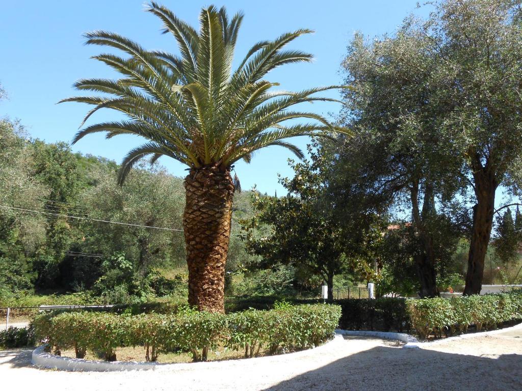 Kokoros Apartments Kato Korakiana Dış mekan fotoğraf